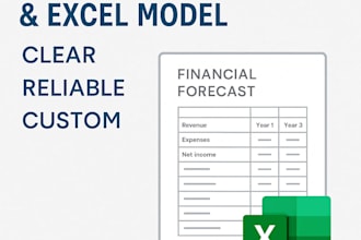build a professional financial forecast and excel model