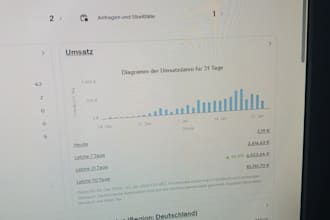 manage your ebay dropshipping store as a virtual asistant
