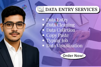 be virtual assistant for data entry cleaning collection
