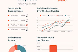 professional data entry service 500 records into excel or google sheets