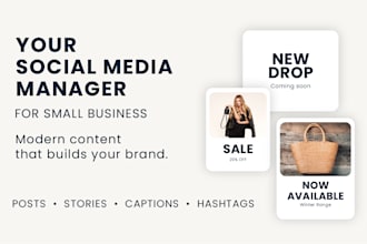 be your social media marketing manager and content creator