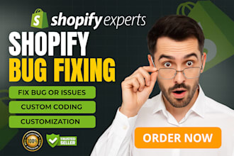 do shopify bug fixing and customization shopify bugs errors and website issues