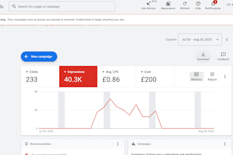 set up and manage your google ads campaign for maximum ROI
