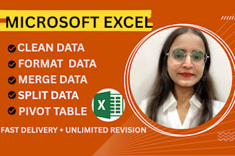do excel data cleaning, formatting, sorting, and organizing