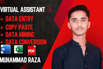 do fast and accurate data entry