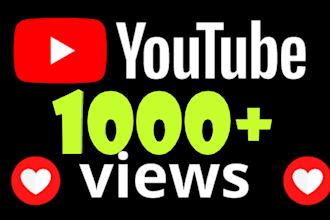 bring 3000 youtube views to your video
