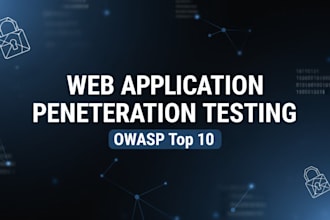 perform professional web application penetration testing owasp top 10