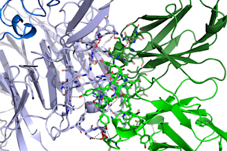 protein protein docking interactions analysis