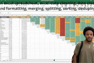 do excel data cleaning