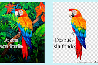 quitaré el fondo y dejaré tu imagen con fondo transparente