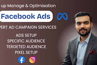handle fb and instagram ad campaigns and marketing strategy