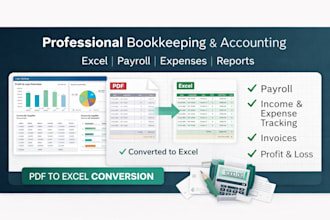 do bookkeeping, accounting and PDF to excel conversion
