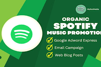professionally do organic worldwide music promotion, spotify USA music promotion