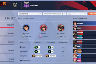 coach you in overwatch ranked as a top 500 player