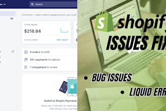 fix shopify bugs, theme issues, and liquid errors