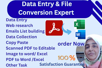 convert scanned PDF, image to word or excel