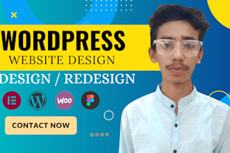 customize or redesign your wordpress website and theme