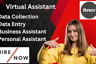professional virtual assistant for administrative and business support