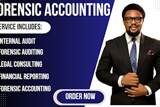 perform forensic accounting, fraud investigation, financial audit within 24hours