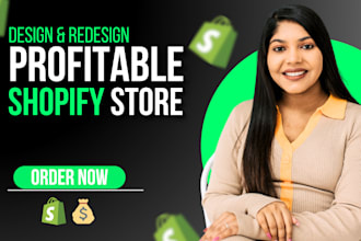 design shopify dropshipping store