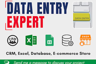 do professional data entry and excel processing with 100 accuracy