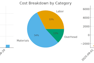 provide excel accounting and data entry expert services