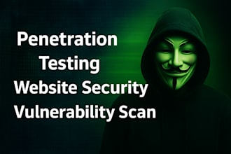 perform website vulnerability testing and provide full penetration report