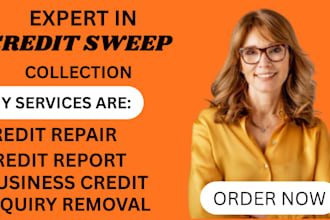 expert credit repair credit report score remove inquiries and business report