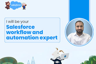 be your salesforce workflow and automation expert