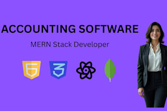 built accounting software, finance dashboard mern web app