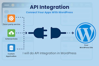 do api integration in wordpress