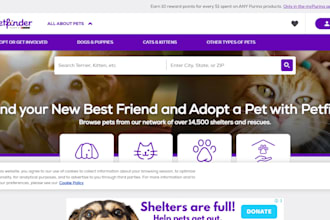 build shopify store pet shopify dropshipping, shopify design shopify pet store