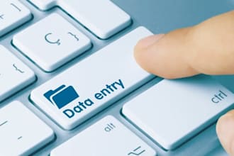 do accurate financial data entry in excel