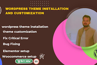 do wordpress theme installation and customization