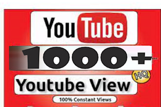 brings 1000 youtube views in your video