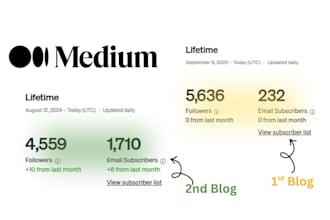 write articles for medium, substack, and website