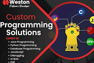 script java, python, ai bots, c, sql database coding, and software developer