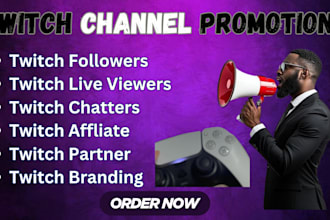 do twitch channel promotion to boost live viewers chatter and followers