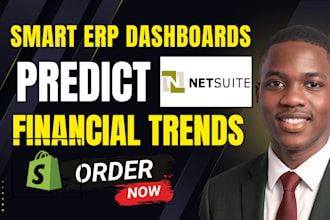 build smart netsuite power bi dashboards kpis ai automation financial reports