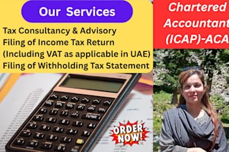 give tax consultancy, planning, advisory, and uae vat return filing