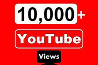 brings 5000 youtube views in your video