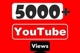 brings 3000 youtube views in your video