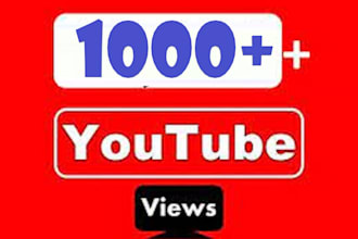brings 1000 youtube views in your video