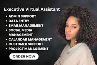 executive virtual assistant personal virtual assistant administrative VA