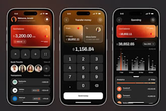 develop payment app money transfer app bnpl payment app