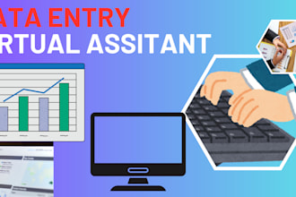 be your professional data entry operator and virtual assistant