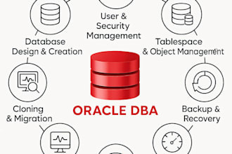 provide oracle database administration support