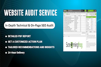 run a screaming frog website audit, SEO audit report, and website analysis