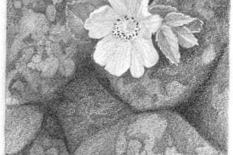 draw a piece of nature for you