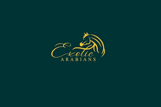 design unique stable horse logo